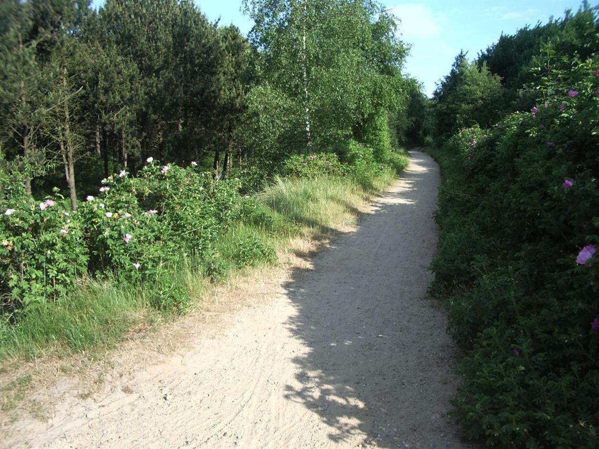 Ferienhaus Von Ahrentschildt-Pestalozzistrasse 29 Sankt Peter-Ording Eksteriør bilde